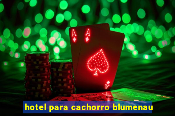 hotel para cachorro blumenau